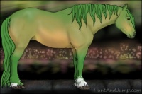 Horse Color:Watercolor Bay Sabino 