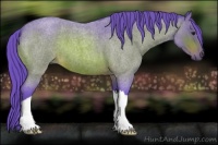 Horse Color:Watercolor Brown Roan 