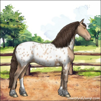 Horse Color:Amber Champagne Appaloosa 