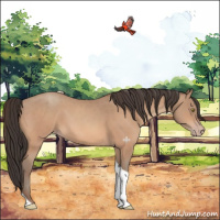Horse Color:Sable Champagne Tobiano