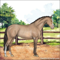 Horse Color:Amber Champagne Rabicano 