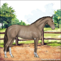 Horse Color:Classic Champagne Rabicano 