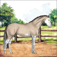 Horse Color:Sable Champagne Dun Splash 