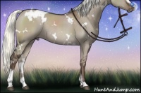 Horse Color:White Spotted Liver Red Dun Mushroom Sabino Rabicano 