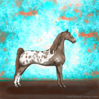 Horse Color:Liver Red Dun Appaloosa Rabicano