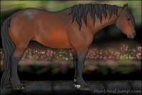 Horse Color:Brown 