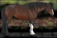 Horse Color:Brown 