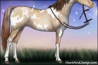 Horse Color:White Spotted Chocolate Brown Pearl Dun