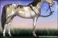 Horse Color:White Spotted Liver Red Dun 