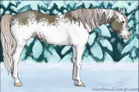 Horse Color:White Spotted Silver Black Splash 