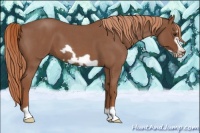 Horse Color:Red Roan Frame 