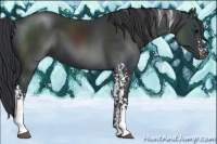 Horse Color:White Spotted Black 