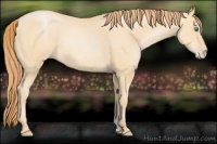 Horse Color:Smoky Black Pearl 