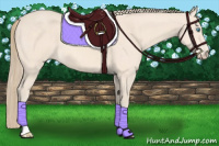 Horse Color:Perlino