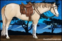 Horse Color:Smoky Black Pearl Sabino Splash