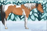 Horse Color:Bay Tobiano 