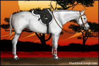 Horse Color:Gray Chestnut 