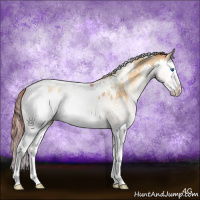 Horse Color:White Spotted Smoky Grullo Pearl Onyx Splash Appaloosa Rabicano Brindle 