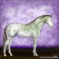 Horse Color:White Spotted Sable Champagne Chinchilla Onyx Sabino Splash Appaloosa Rabicano