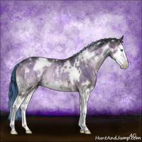 Horse Color:Painted White Spotted Grullo Onyx Splash Rabicano Brindle 