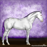 Horse Color:Painted Classic Cream Champagne Chinchilla Onyx Sabino Splash Rabicano