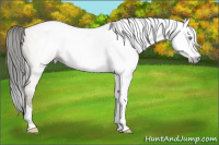 Horse Color:Gray Amber Cream Champagne Ice Dun Tobiano 