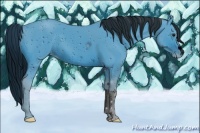 Horse Color:ERROR: UNKNOWN ANOMALY