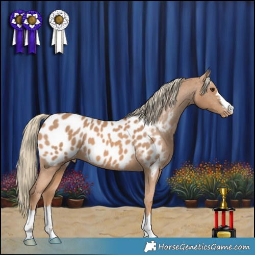 Horse Color:Chestnut Mushroom Blanket 