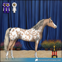 Horse Color:Chestnut Mushroom Blanket
