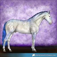 Horse Color:Watercolor White Spotted Brown Chinchilla Ice Onyx Sabino Rabicano