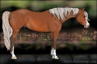 Horse Color:Silver Bay Sabino