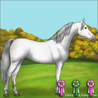 Horse Color:Gray Bay 