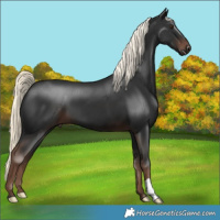 Horse Color:Liver Chestnut Mushroom 