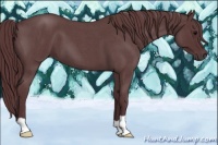 Horse Color:Chocolate Blue Roan