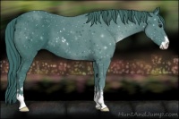 Horse Color:Watercolor Black Sabino 