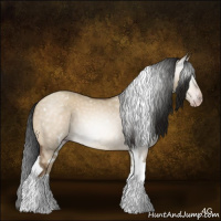Horse Color:Gray White Spotted Sable Champagne Dun Tobiano 