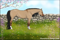 Horse Color:Gray Bay Dun