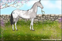 Horse Color:Platinum Brown Dun Sabino Tobiano Blanket 