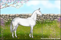 Horse Color:Gray Platinum White Spotted Buckskin Sabino Rabicano 