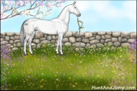 Horse Color:Gray Brown Dun Tobiano