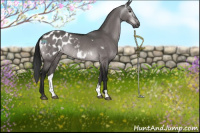Horse Color:Gray Platinum Brown Dun Appaloosa Rabicano 