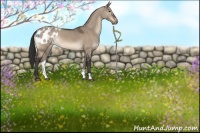 Horse Color:Brown Dun Blanket 