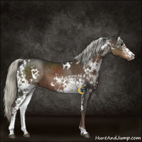 Horse Color:White Spotted Liver Chestnut Mushroom 