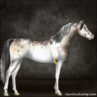 Horse Color:White Spotted Liver Red Onyx Frame 