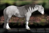 Horse Color:Smoky Blue Roan Sabino 