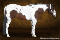 Horse Color:Brown Tobiano