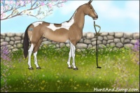 Horse Color:Buckskin Dun Sabino Tobiano Rabicano