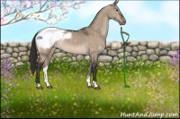 Horse Color:Brown Dun Snowcap 