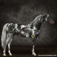 Horse Color:White Spotted Liver Chestnut Ice Mushroom
