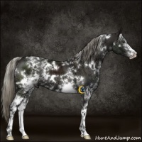 Horse Color:White Spotted Liver Chestnut Ice Mushroom 